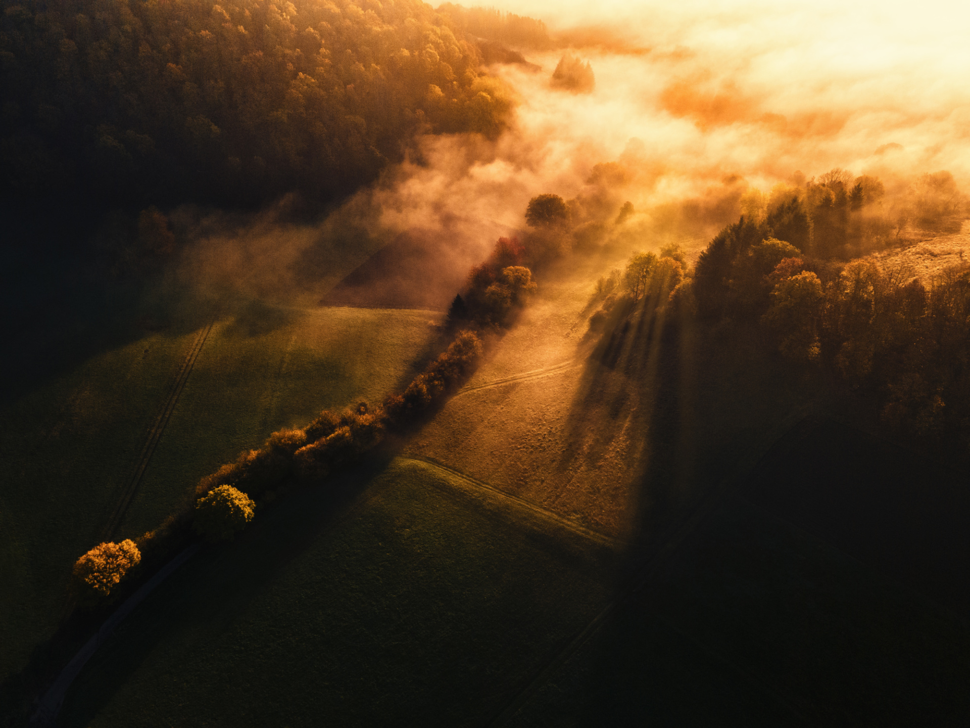 Nebellandschaft im goldenen Morgenlicht